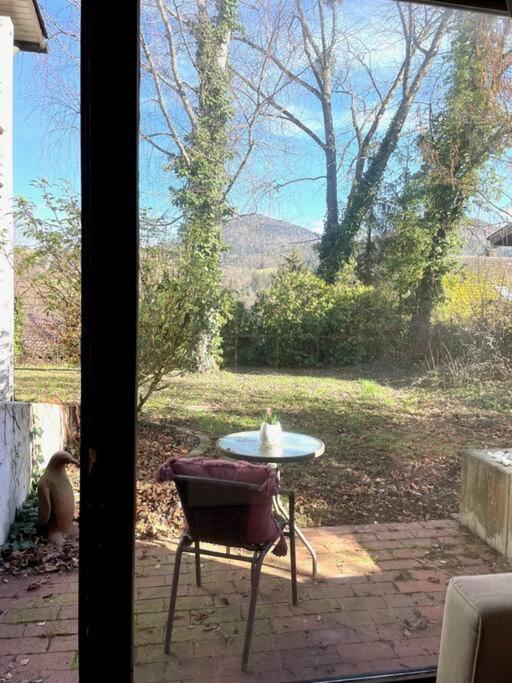 Merkurblick In * Baden-Baden